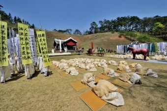 설 차례지내는 순서, 강신부터 철상-음복 단계까지..자세한 방법은?