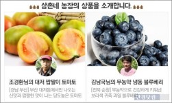 롯데닷컴, 삼촌네 농장서 대저토마토 등 제철 농산물 판매