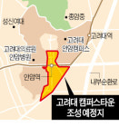 [안암동에 고대 실리콘밸리] 식당·술집 빼곡한 안암골…청년 스타트업 타운으로 바뀐다