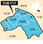 강남 세곡동 이유있는 4·13 반란