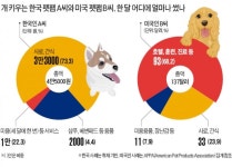 [반려동물산업 손 놓은 정부] 펫산업 2조로 커졌는데…애견카페 동물호텔 불법시설 전락 위기