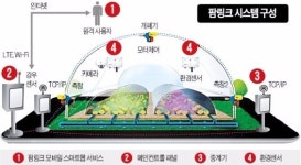 [한경 스타트업 리포트] 스타트업 만난 장미농장, 2년새 27배 장밋빛 성장