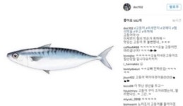 김창렬, 원더보이즈 관련 무혐의 처분 심경 고백? “고등어야 축하해”
