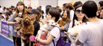 대구·울산·의성, 6조 반려동물시장 선점 나섰다