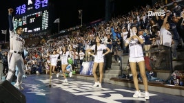 야구팬들 주목!…숨겨진 야구장 명당 찾아보니