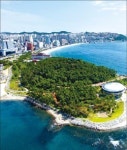 [대한민국 도시 이야기-부산 해운대구] 동백섬에서 해운대 절경 보고 달맞이고개서 드라이브 만끽