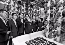 스마트팜 체험·창업 지원…창조농업 허브 떴다