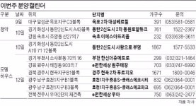 휴가 성수기 끝났다 동탄2·세종·원주 등 전국 10곳 견본주택 개관