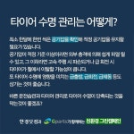 [카드뉴스] 타이어 언제 바꾸지?