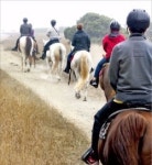 [여행의 향기] 녹색힐링! 이곳에선 누구나 나무를 닮아간다