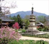 [여행의 향기] 지리산·뱀사골·와운마을…남원, 가을이 깊어진다