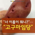 너 이름이 뭐니?…고구마임당 [편의점 신상털기]