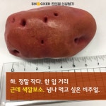 너 이름이 뭐니?…고구마임당 [편의점 신상털기]