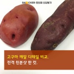 너 이름이 뭐니?…고구마임당 [편의점 신상털기]
