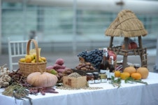 친환경농산물, 하베스트 팜 파티 성황리에 마쳐