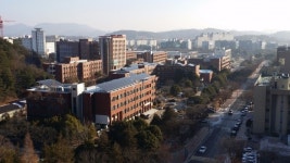 28명 톱1% 한국 연구자 중 경상대 4명...비결은 선택과 집중