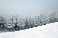 오늘 23일 날씨, 전국 흐리고 곳곳에 눈-비..영하권 추위
