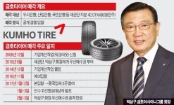 박삼구 운명의 한달…그룹 재건 숙원 풀까