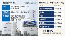 2조 베팅 MBK, 대성산업가스 품는다