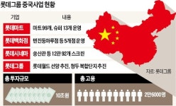 시장개방 꼴찌 중국의 민낯…군사작전하듯 롯데마트 죽이기