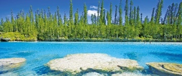 [여행의 향기] 남태평양의 프렌치 파라다이스