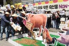 모든 축산 Non-GMO(유전자 변형 농산물) 곡물로 키우기 선포식
