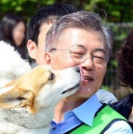 안철수 쓰담 쓰담 vs 문재인 사람과 동물이 행복한 세상…반려동물 정책 비교