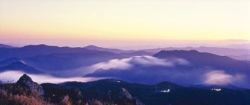 [여행의 향기] 하늘 아래 첫 고갯길 만항재…새벽 안개 가르며 봄을 그리다
