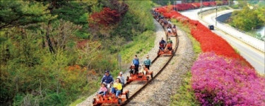 [여행의 향기] 수목원·휴양림·기차마을·한옥촌…녹색 향연 열렸네!