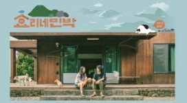 효리네민박 촬영 마무리, 12일간의 즐거운 제주도 라이프