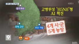 군산 고병원성 AI 확진…국민의당 “이례적인 6월 발생, 문제가 심각”