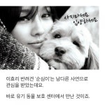 [카드뉴스] 멍멍 vs 야옹 … 스타들이 사랑한 반려동물 대공개