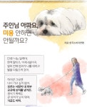 [뉴스래빗] 아파요 멍멍‥미용 안하면 안될까요?