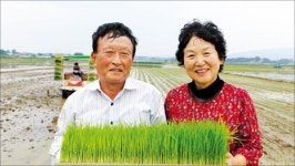 [Cover Story - CJ프레시웨이] 계약재배로 판매 걱정 없애고…초과이익 공유제로 농가 소득 ↑