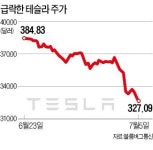 테슬라 주가, 6개월 뒤엔 반토막?