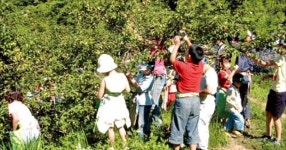 [팜스테이] 뒤에는 지리산, 앞에는 섬진강…배산임수 향긋한 매실 마을