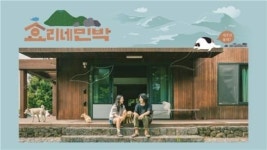 효리네 민박 오지 말라는 이상순