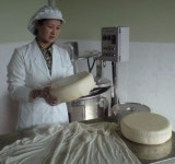 [한경·네이버 FARM] 우유 못마시는 목장 여주인이 치즈 장인 된 사연
