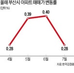 수도권 규제 풍선효과 없다… 부산 아파트 거래 실종