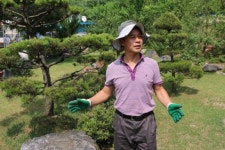 (웹)정원이야, 축사야...돼지농장 3분의 1을 꽃과 나무 정원으로 꾸민 축산 농부