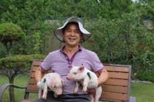 (웹)정원이야, 축사야...돼지농장 3분의 1을 꽃과 나무 정원으로 꾸민 축산 농부
