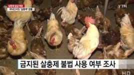 살충제 계란 파문…모든 산란계 농장 살충제 전수 검사