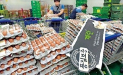제과업계 빵 못 만드나…소비자 사놓은 계란 어쩌나