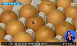 살충제계란 농장주 다들 쓰는데 왜 변명…번호 조회 가능한 사이트는?
