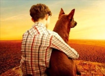 동물 영화제에 TV 예능까지 반려동물도 콘텐츠로 진화