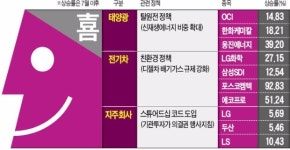 먹구름 걷히는 친환경주