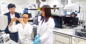 [경북형 4차 산업혁명 현장] 메디컬 융합소재 기업 키우는 첨단메디컬융합섬유센터