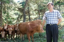 [한경·네이버 FARM] 1200만원짜리 유기농한우 처음 키워낸 산청 농부 동물복지 한우 1호 도전합니다