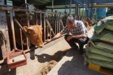 [한경·네이버 FARM] 1200만원짜리 유기농한우 처음 키워낸 산청 농부 동물복지 한우 1호 도전합니다