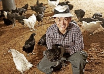 [한경·네이버 FARM] 38만원 들고 상경… 이젠 연 70만 마리 판매 오골계 대부의 좌충우돌 성공기